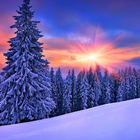 ikon Teka-teki Jigsaw Pemandangan Salju