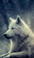 Wolf Jigsaw Puzzles poster