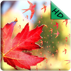 HD Nature Wallpaper icon