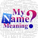My Name Meaning-APK