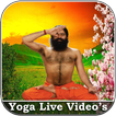 ”All Yoga Videos:Pet Kam Kare