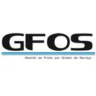 GFOS - Módulo Condutor icône