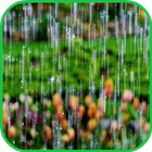 Morning Rain HD biểu tượng