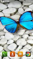 Poster Butterfly On Stone LWP