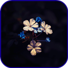 Flowers 3D icône
