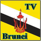 Brunei TV Sat Info icône