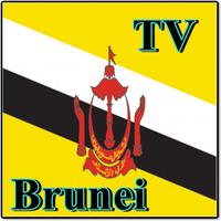 Brunei TV Sat Info Ekran Görüntüsü 2