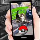 Pocket Cats GO APK