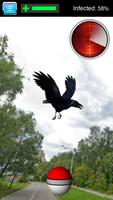 Pocket Raven GO Affiche