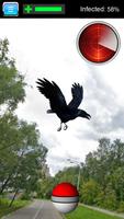 Pocket Raven GO постер
