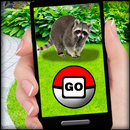 Pocket Animals GO APK