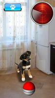 Pocket Dogs GO ảnh chụp màn hình 3