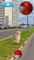 Pocket Dogs GO ảnh chụp màn hình 1