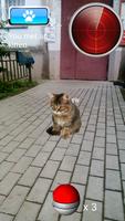 Pocket Kitten GO 포스터