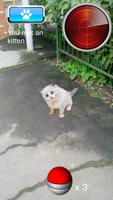 Pocket Kitten GO 스크린샷 1