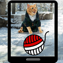 Pocket Style Cats GO APK