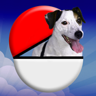Pocket Puppy GO simgesi