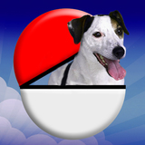 Pocket Puppy GO icône