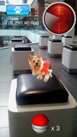 Pocket Puppy GO Ekran Görüntüsü 3