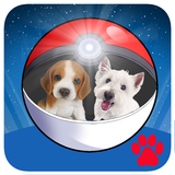 Pocket Dogs Go!-icoon