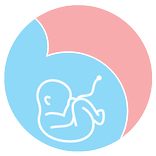 Pocket Gynaecologist