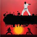 Pocket Karate Online