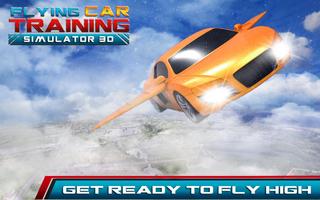 Flying Car Training Sim 3D Affiche