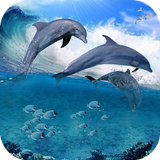Happy Dolphins Live Wallpaper icône