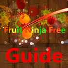 Guide For Fruit Ninja Free. أيقونة