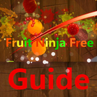 Guide For Fruit Ninja Free. آئیکن