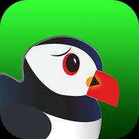 Ultimate Puffin Browser Pro Tips Plakat