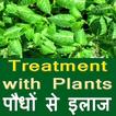 Treatment by Plant