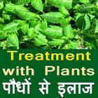 Treatment by Plant icône