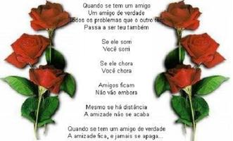 Poemas de amizade com fotos screenshot 3