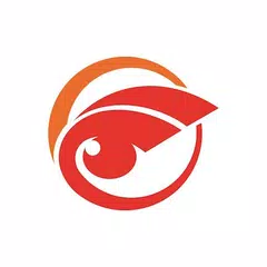 口袋FPV APK 下載