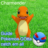 Pokego Tips & Guide