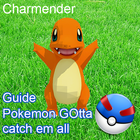 Pokego Tips & Guide иконка