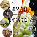 ขอหวย ขูดหวย เสี่ยงโชค APK