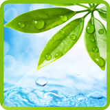 Nature Water Wallpaper 아이콘