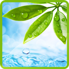 Nature Water Wallpaper icon