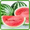 Watermelon Wallpapers