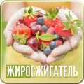 Жиросжигатель