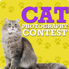 Cute Cat Pictures Contest & Photo editor biểu tượng