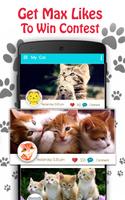 Cute Cat Pictures Contest & Photo editor screenshot 1