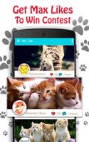 Cute Cat Pictures Contest & Photo editor ảnh chụp màn hình 1