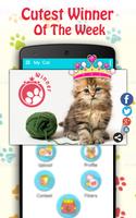 Cute Cat Pictures Contest & Photo editor ảnh chụp màn hình 2