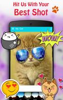 Cute Cat Pictures Contest & Photo editor screenshot 3