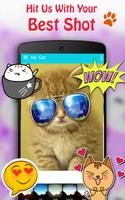 Cute Cat Pictures Contest & Photo editor ảnh chụp màn hình 3