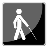 Assist Blind