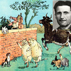 Animal Farm - Novel by George  icône